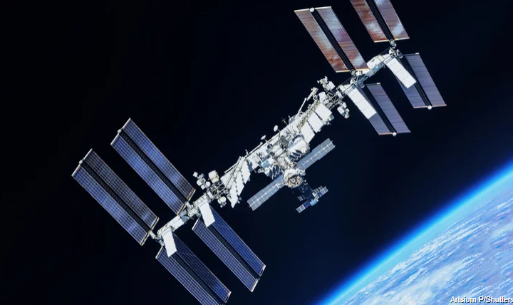 Satelite