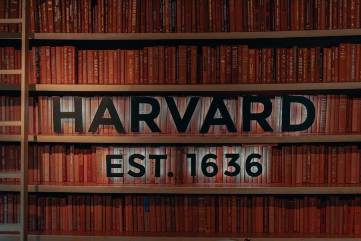 Photo Bookshelf full
