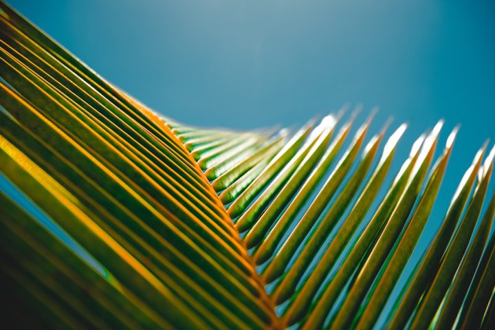 Photo Tropical Beach